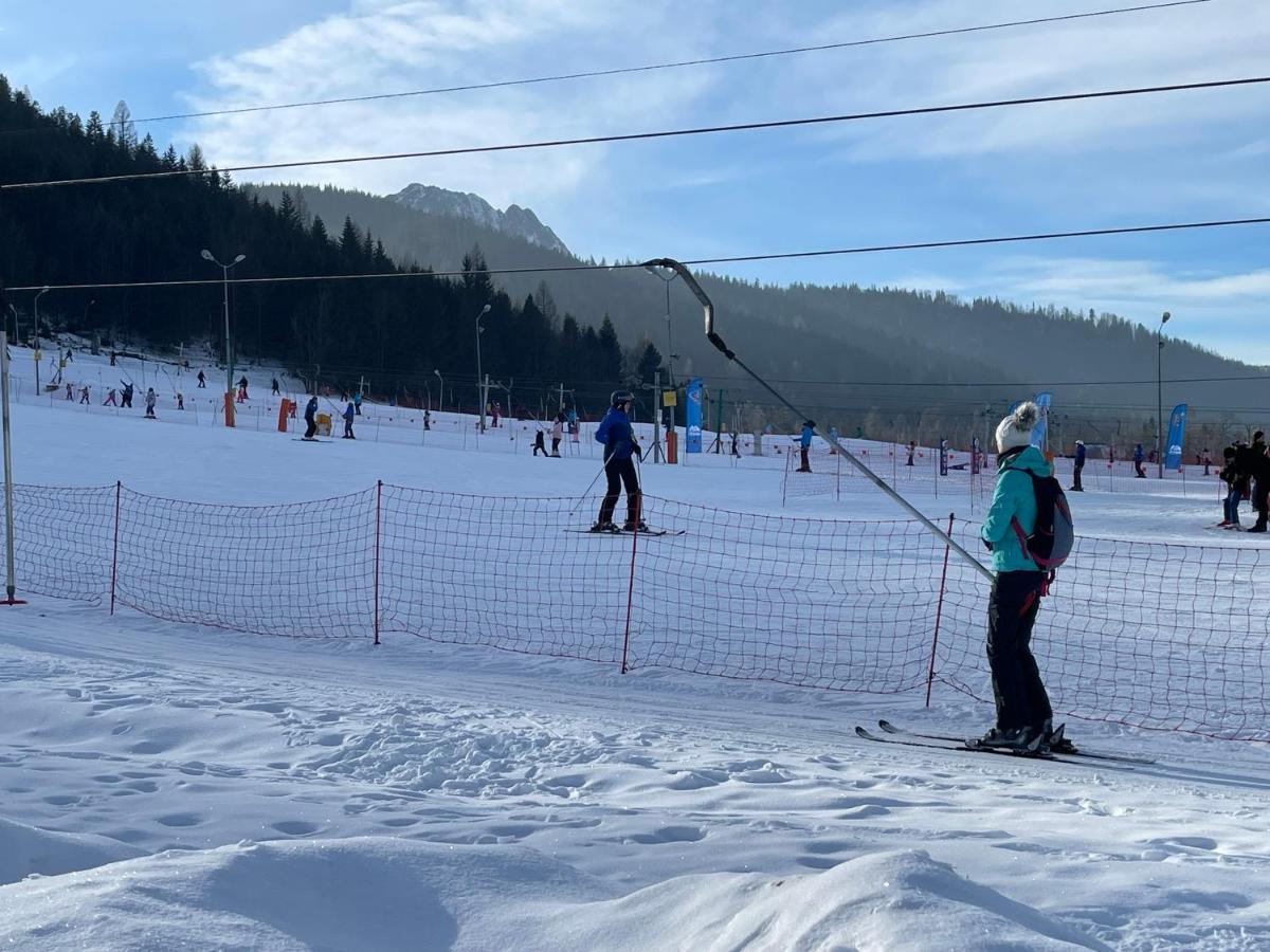 Wynajem Pokoi-Willa Pod Smrekami Zakopane Kültér fotó